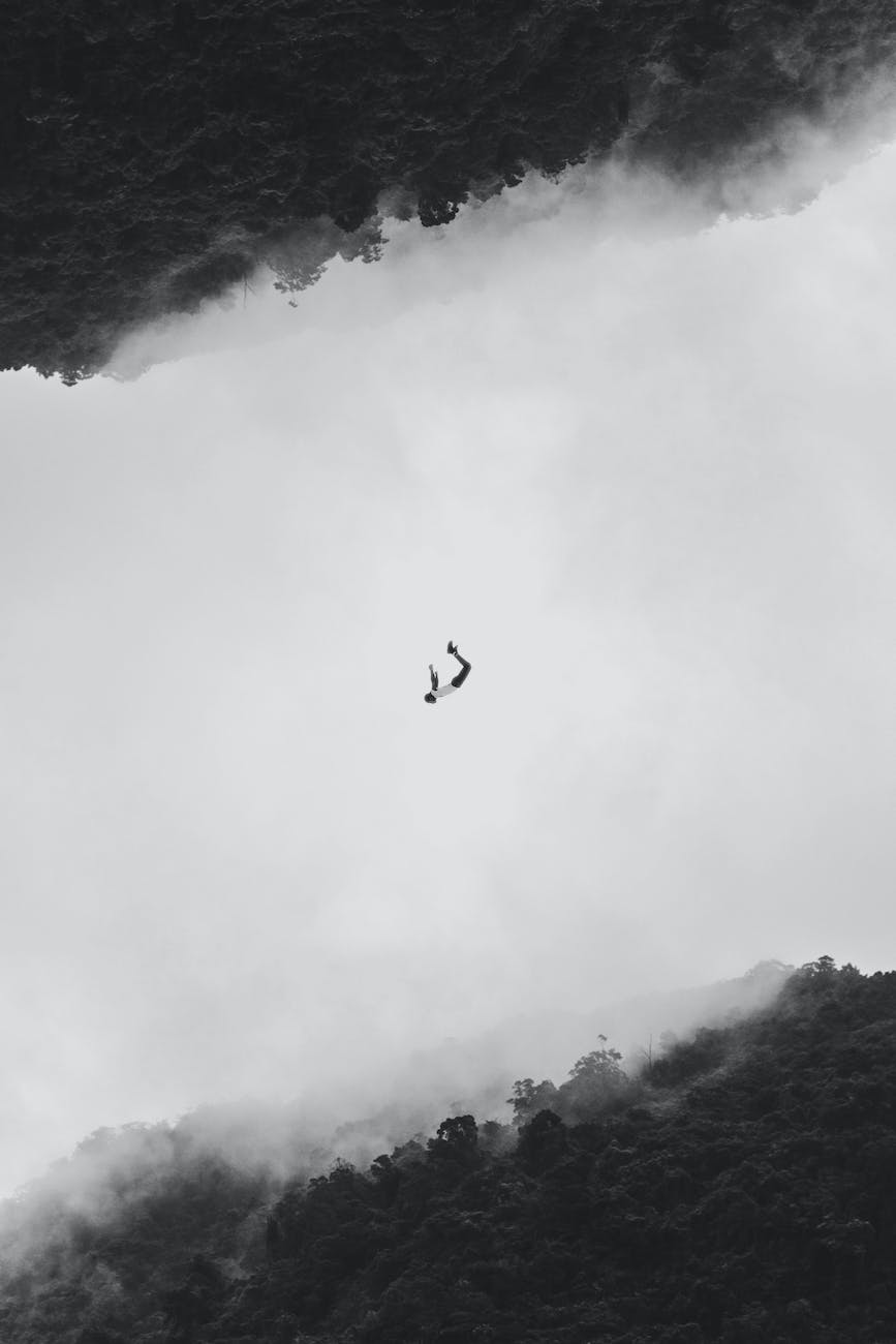 Pexels Photo 1793525